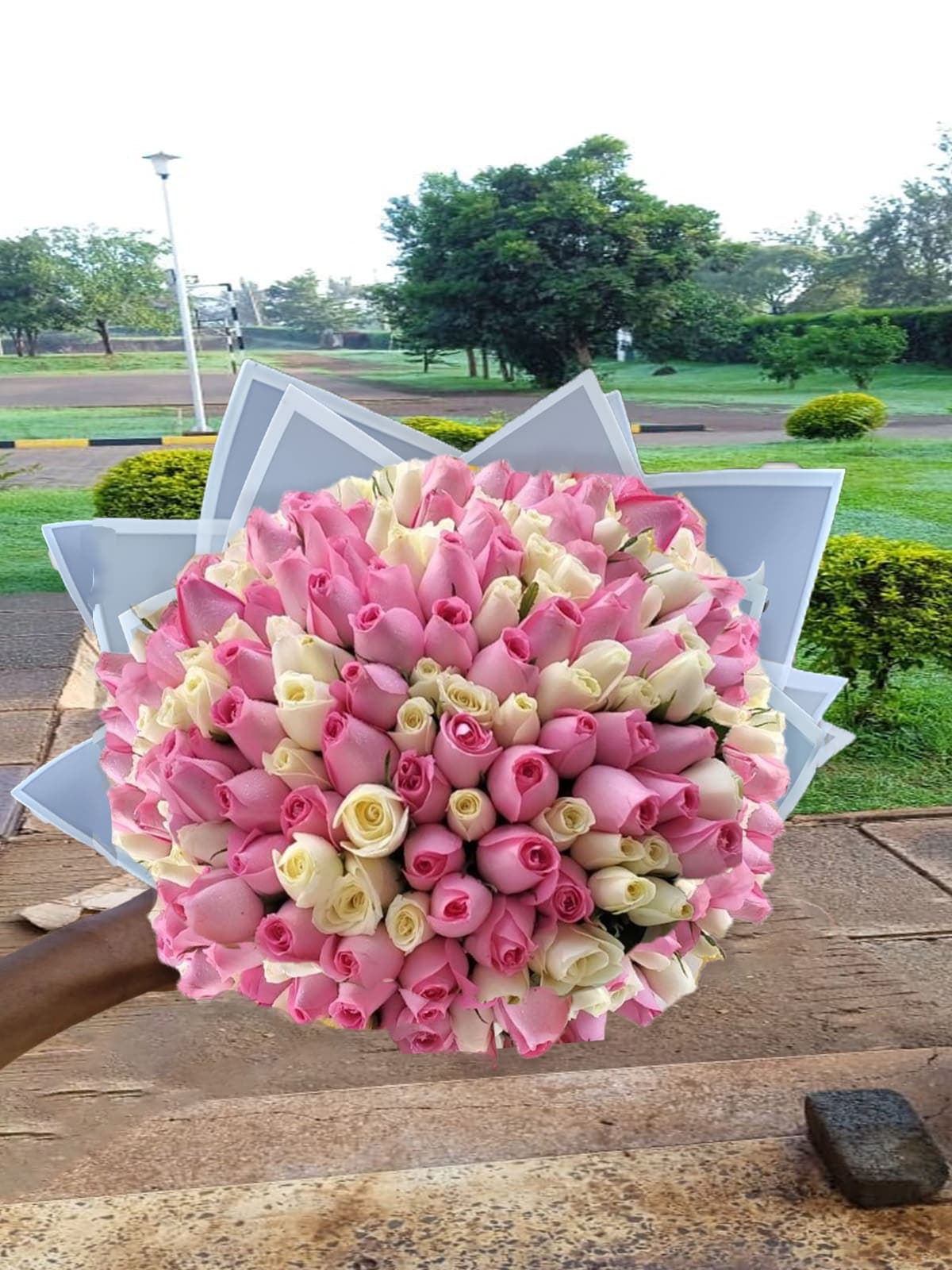 Pink and white Flower Nairobi